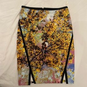 Ted Baker skirt